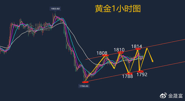 今日黄金价最新报价，市场走势分析与投资前景展望